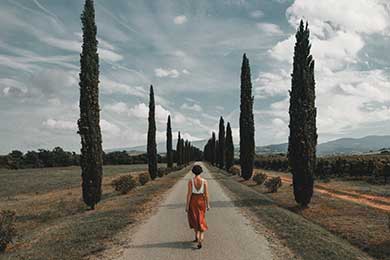 Tuscany Workshops
